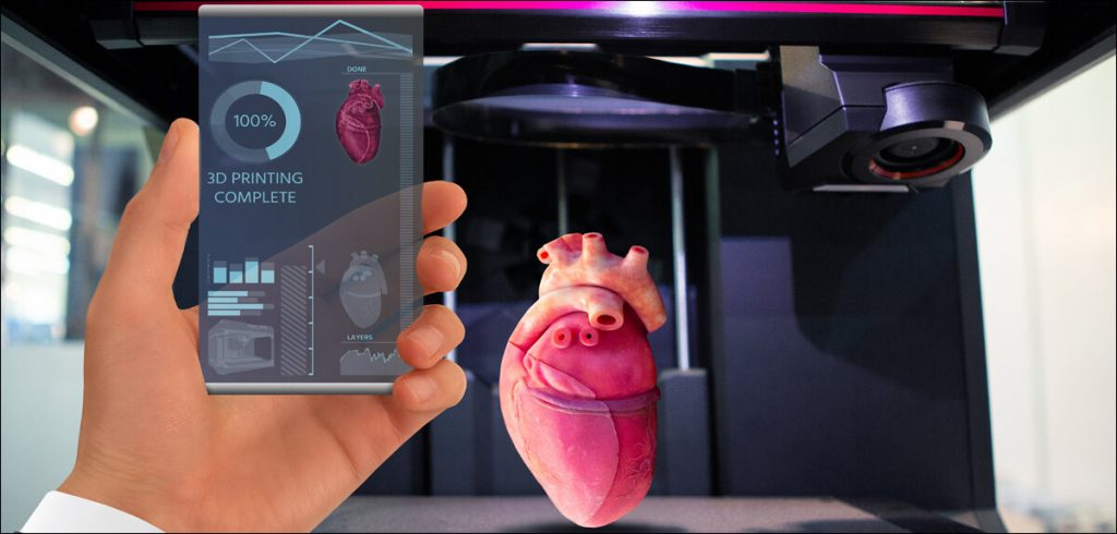3D Printed Human Organs