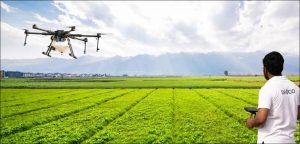 Drones in Agriculture