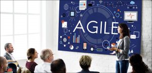 Agile Software Development