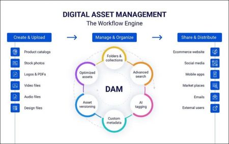 Everything you need to know about Digital Asset Management - Sify