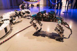 Biohybrid Robots Are Here. Is Humanity Prepared?